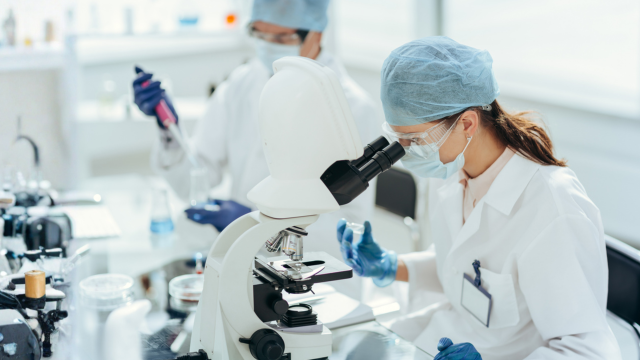Imagem do curso Interpretação de Exames Laboratoriais
