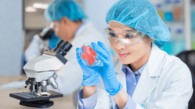 Imagem do curso Interpretação de Laudos Microbiológicos e Físico-Químicos de Alimentos e Água. 