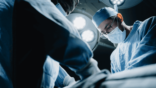 Imagem do curso Morte Encefálica: Captação e Manutenção do Potencial e Doador de Órgãos