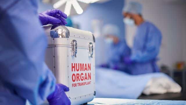 Imagem do curso Logística de Captação e Transplante de Órgãos
