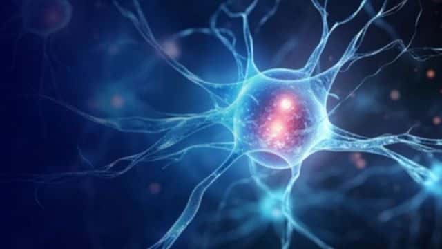 Imagem do curso Neurodesenvolvimento: Bases Neurais