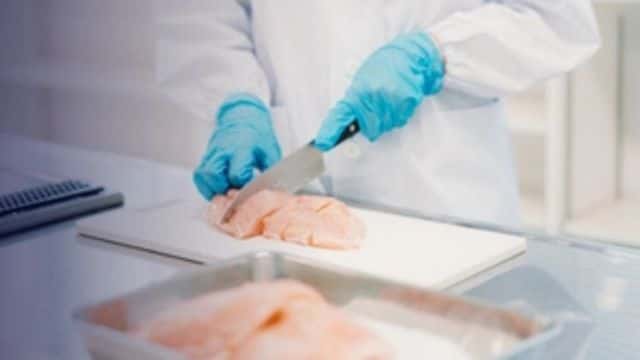 Imagem do curso Processamento de Carnes e Derivados