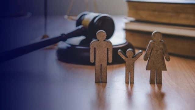 Imagem do curso Processo Civil e Direito de Família: Aplicações