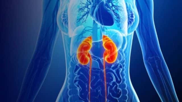 Imagem do curso Sistemas Renal e Respiratório: Bases Clínicas