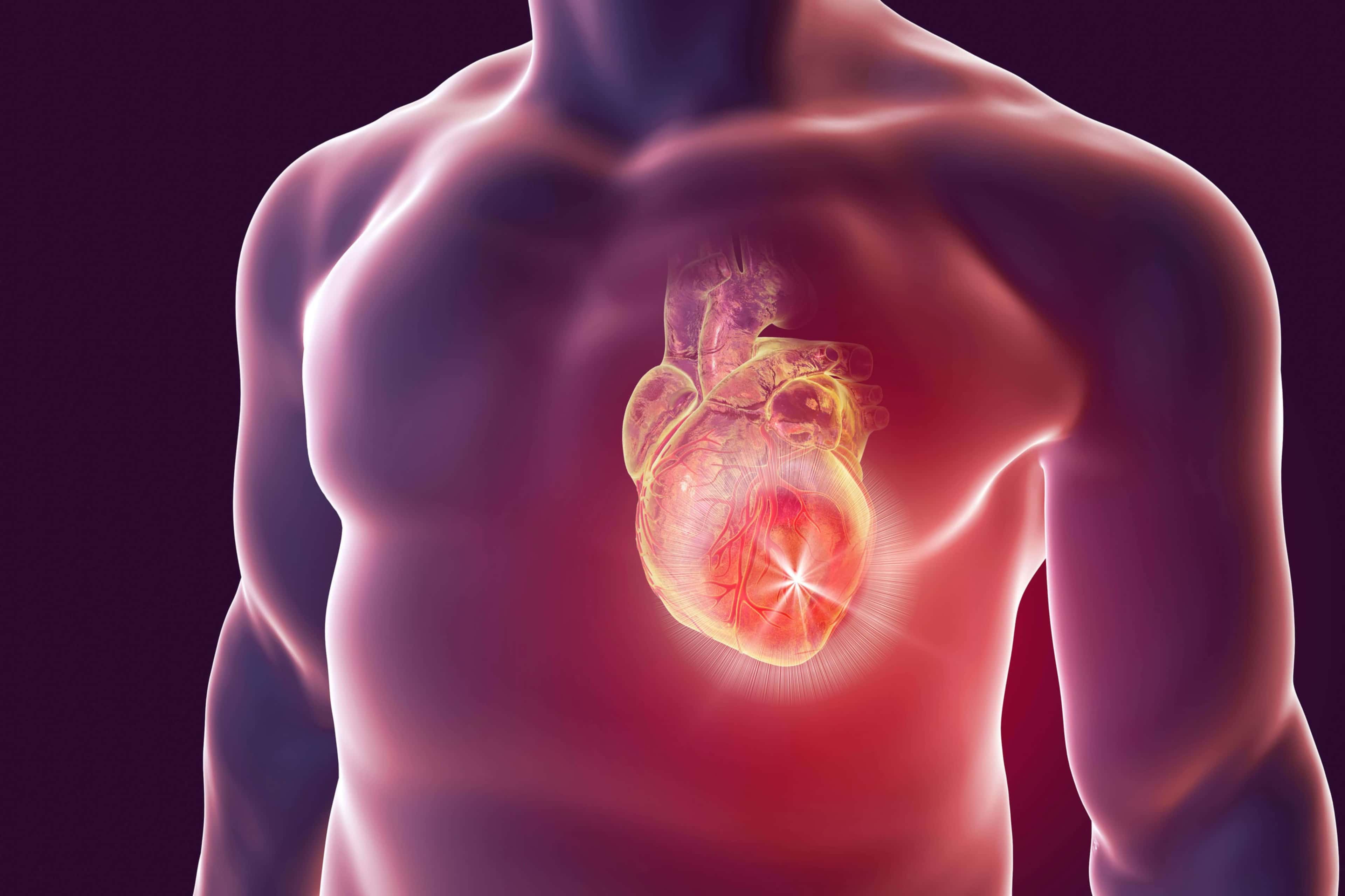 Imagem do curso Fisioterapia no Ambiente Ambulatorial no Paciente Com Doença Cardiovascular, Metabólica e Pulmonar