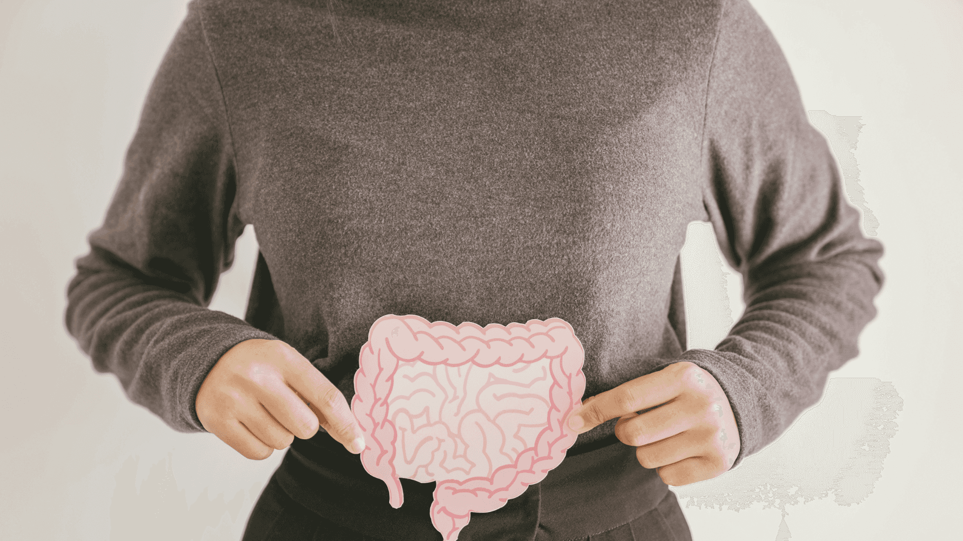 Imagem do curso Sistema Digestório e Hepatobiliar