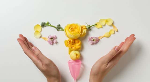 Imagem do curso Aspectos Nutricionais no Ciclo de Vida da Mulher