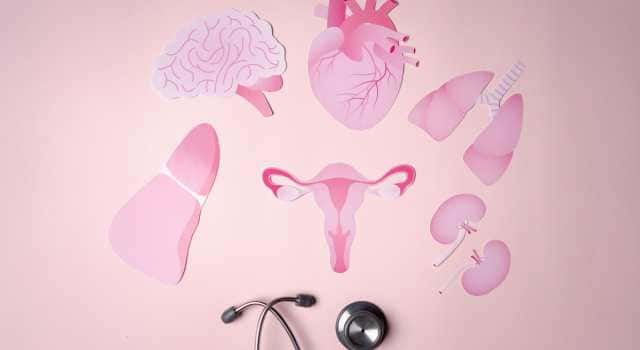 Imagem do curso Fisiopatologia das Doenças Associadas À Mulher