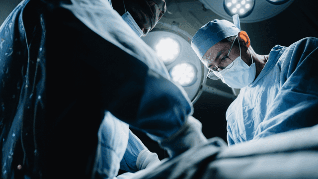 Imagem do curso Enfermagem em Captação, Doação e Transplante de Órgãos e Tecidos