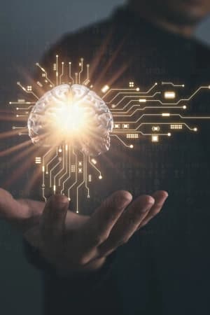 Projetar, integrar e manter sistemas de informação