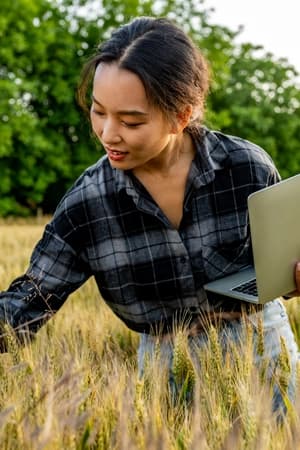 Compreender cadeias produtivas e dinâmica do setor