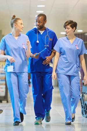 Implementar auditoria e gestão da qualidade