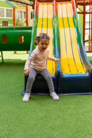 Avaliar desenvolvimento motor, emoção e cognição