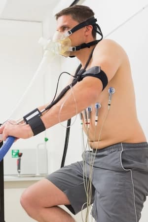 Relacionar ciclo vital a funções e adaptações