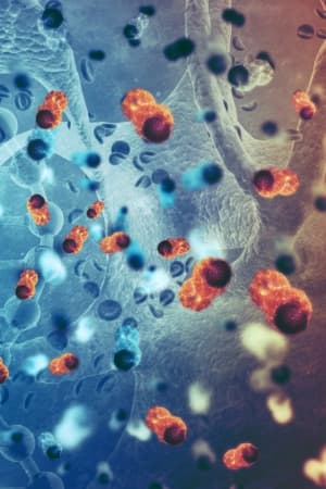 Compreender tipos de câncer e estratégias de prevenção