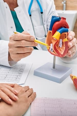 Compreender anatomia fisiologia e doenças cardíacas