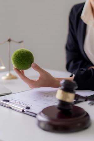 Compreender leis ambientais e aplicações práticas