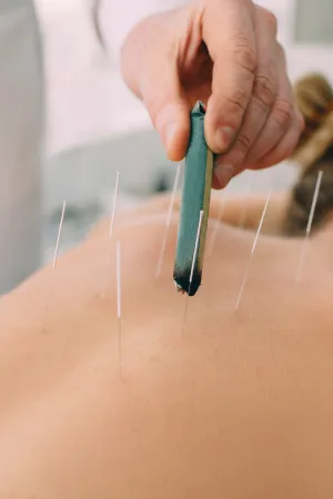 Ensinar os fundamentos da Medicina Tradicional Chinesa