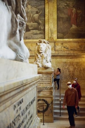 Atuar em gestão, curadoria e projetos no mercado