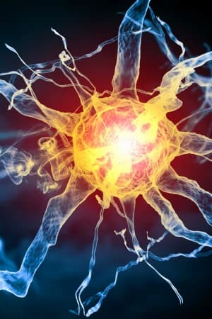 Identificar alterações biopsicossociais