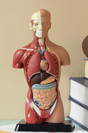 Compreender sistemas do corpo e interações