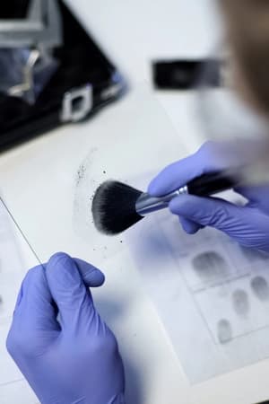 Compreender bases históricas, sociais e psicológicas