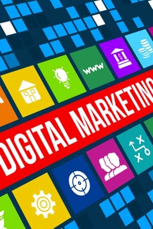 Dominar redes sociais, e-commerce e posicionamento