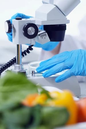 Compreender fundamentos do processamento de alimentos