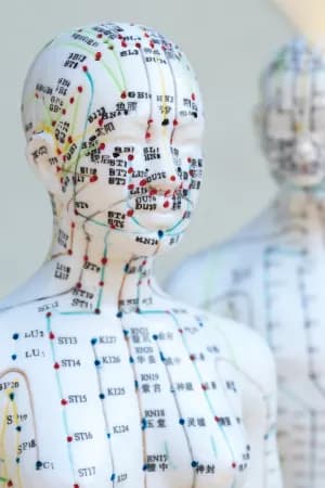 Desenvolver habilidades práticas em Acupuntura