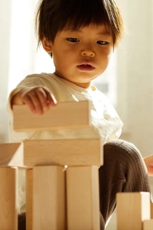 Compreender formação cognitiva e contexto social