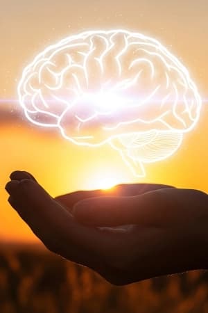 Integrar neurociências à teoria psicanalítica