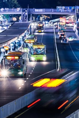 Compreender bases sociais e legais do trânsito