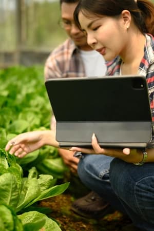 Integrar sustentabilidade e competitividade