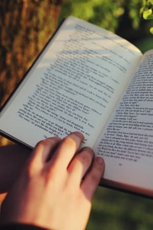 Aplicar raciocínio filosófico em múltiplas áreas