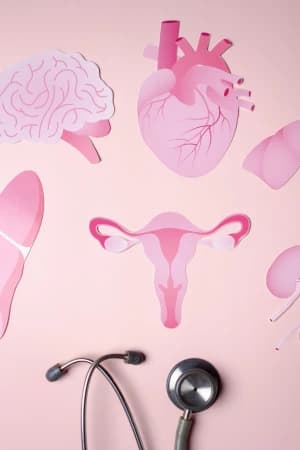 Desenvolver cuidado integral à saúde da mulher