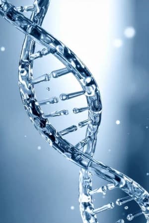 Compreender fundamentos da biotecnologia