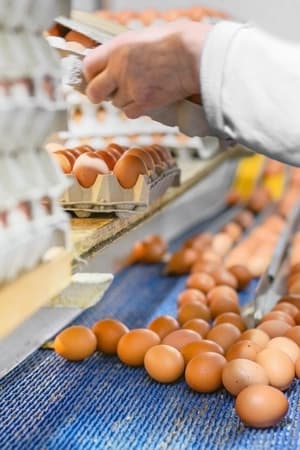 Gerenciar processos industriais e resíduos