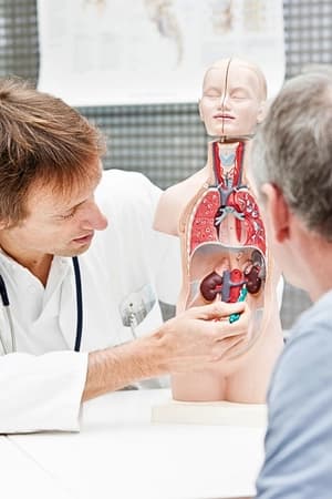 Compreender anatomia e fisiologia urológica