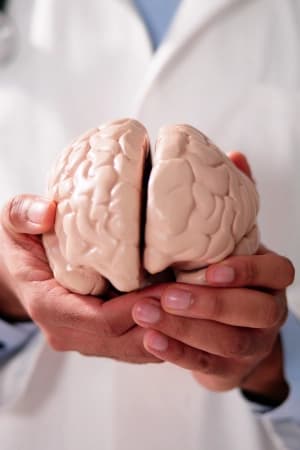 Compreender bases as neurais da aprendizagem