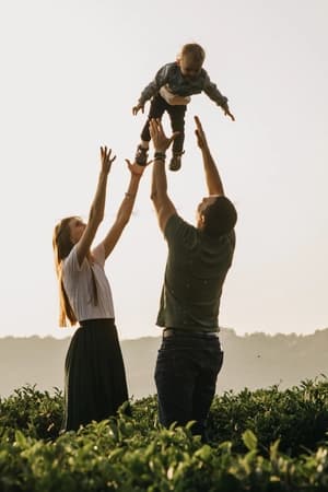 Planejar ações de prevenção promoção e cuidado integral