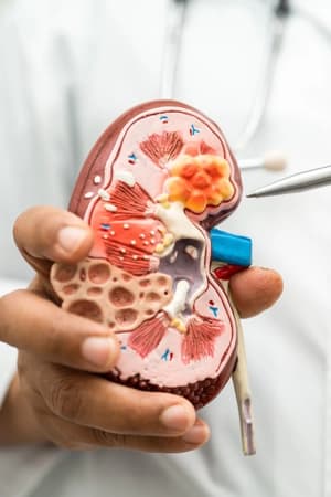 Compreender fisiopatologia e evolução da doença renal