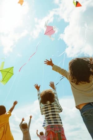 Explicar relação cérebro, motor, emoção e cognição