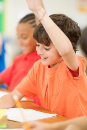 Compreender neurobiologia da aprendizagem