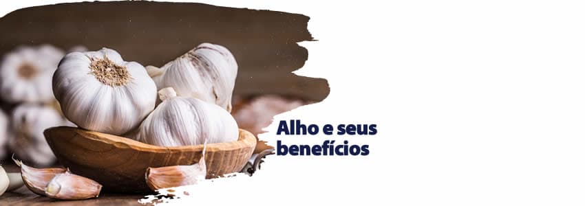 Alho e seus benefícios