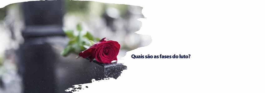  Quais são as fases do luto?