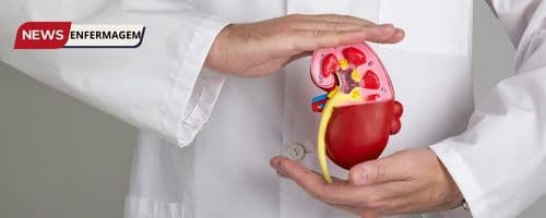 O papel do enfermeiro na Nefrologia: cuidado integral ao paciente renal