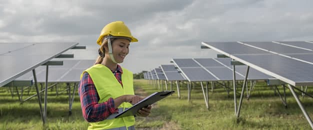 A importância da educação ambiental