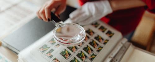 A influência da curadoria na preservação do patrimônio cultural brasileiro