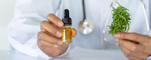 Creffito autoriza a prescrição e terapia  Canabinoide pelo profissional Fisioterapeuta