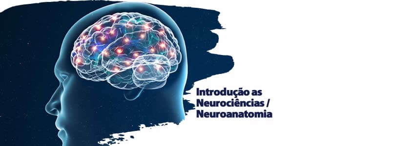 Introdução as Neurociências / Neuroanatomia